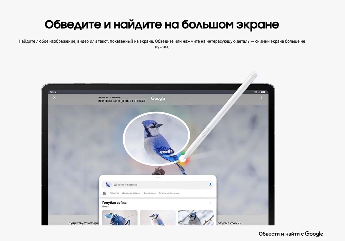 galaxy-tab-s10-fe в Великом Новгороде galaxy-tab-s10-fe
