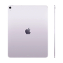 Apple iPad Air 13" (M3, 2025) Wi-Fi + Cellular 256Gb Purple, фиолетовый Apple iPad Air 13" (M3, 2025) Wi-Fi + Cellular 256Gb Purple, фиолетовый