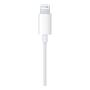 Наушники Apple EarPods Lightning White, белый Наушники Apple EarPods Lightning White, белый