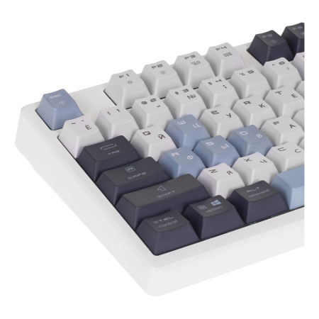 Клавиатура MSI Forge GK600 (S11-43RUP01-HH9) Белый/синий