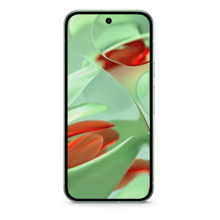Google Pixel 9 128Gb Wintergreen, зелёный Google Pixel 9 128Gb Wintergreen, зелёный