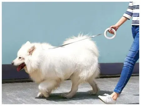 Поводок Xiaomi Moemaster UFO Retractable Leash 2 Plus, 3 м Серый Поводок Xiaomi Moemaster UFO Retractable Leash 2 Plus, 3 м Серый