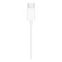 Наушники EarPods Type-C White, белый Наушники EarPods Type-C White, белый