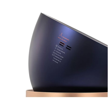 Очиститель Dyson Purifier Big+Quiet Formaldehyde (BP04) Prussian Blue\Gold синий\золотой Очиститель Dyson Purifier Big+Quiet Formaldehyde (BP04) Prussian Blue\Gold синий\золотой